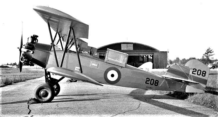 Fleet Fawn 7