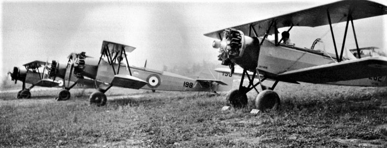 Training on Fleet Fawns